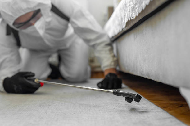 Professional Mosquito Control technician working in Clovis, CA