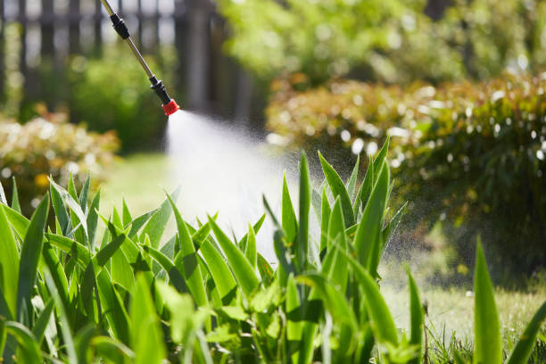 24/7 Emergency Mosquito Control experts in Clovis, CA